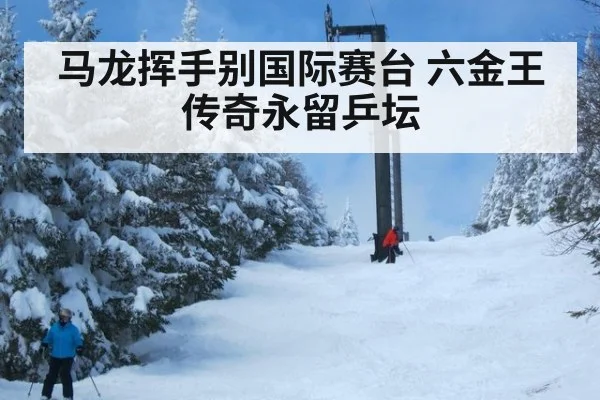 马龙挥手别国际赛台 六金王传奇永留乒坛